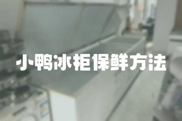 小鴨冰柜保鮮方法