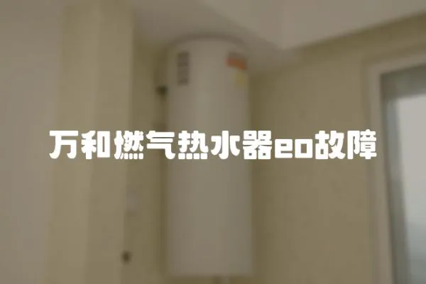 萬和燃氣熱水器eo故障