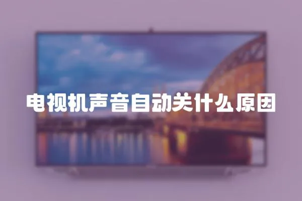 電視機(jī)聲音自動(dòng)關(guān)什么原因