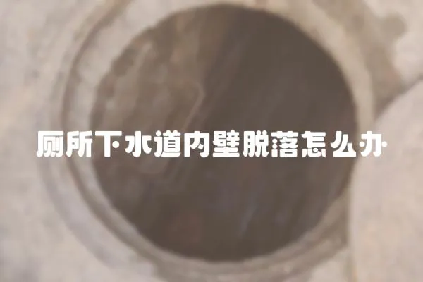 廁所下水道內壁脫落怎么辦