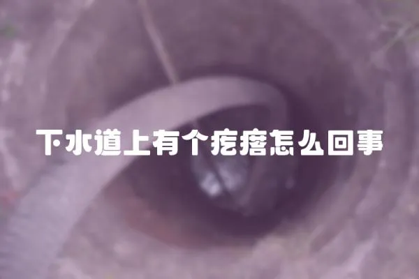 下水道上有個疙瘩怎么回事