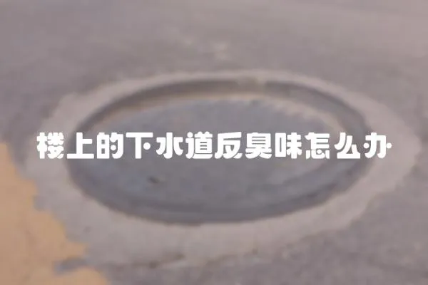 樓上的下水道反臭味怎么辦