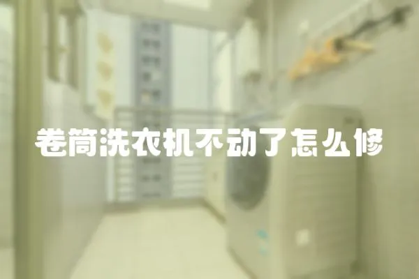 卷筒洗衣機(jī)不動了怎么修