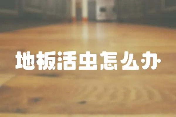 地板活蟲怎么辦