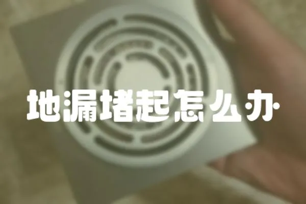 地漏堵起怎么辦