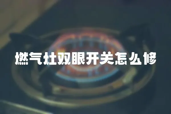 燃氣灶雙眼開關怎么修