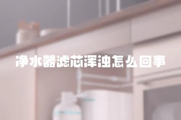 凈水器濾芯渾濁怎么回事