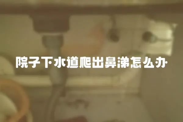 院子下水道爬出鼻涕怎么辦
