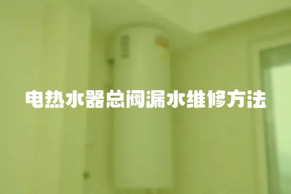 電熱水器總閥漏水維修方法
