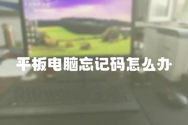 平板電腦忘記碼怎么辦
