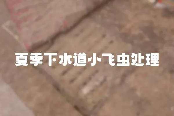 夏季下水道小飛蟲處理