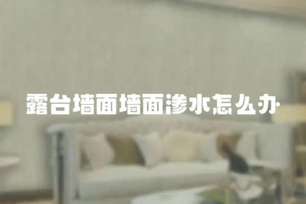 露臺墻面墻面滲水怎么辦