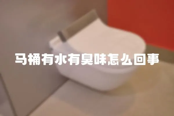 馬桶有水有臭味怎么回事