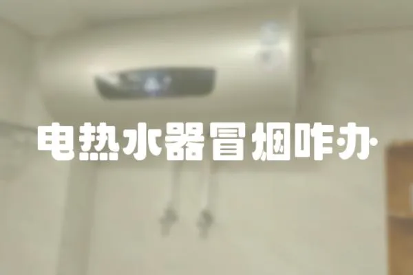 電熱水器冒煙咋辦