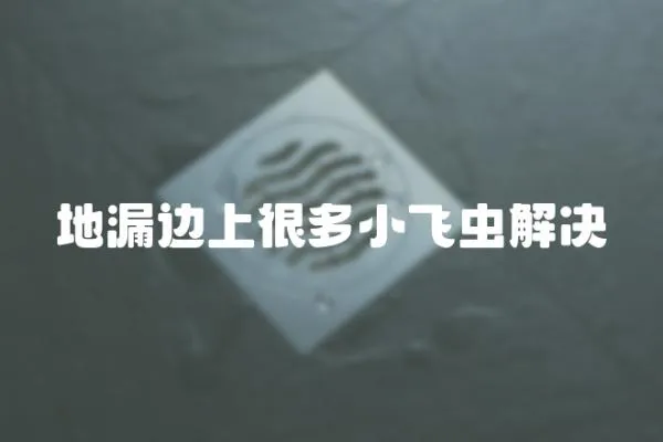 地漏邊上很多小飛蟲解決