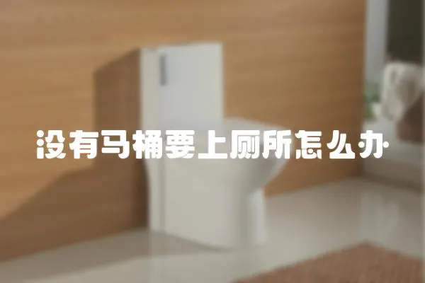 沒有馬桶要上廁所怎么辦
