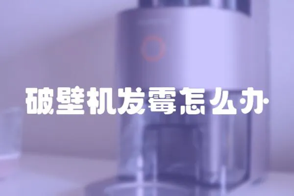 破壁機發霉怎么辦