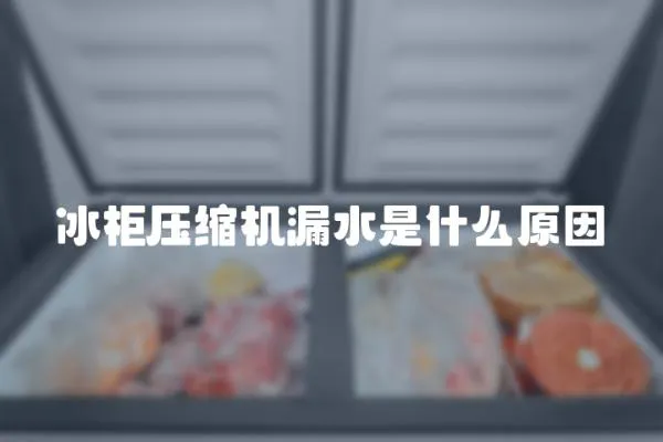 冰柜壓縮機漏水是什么原因