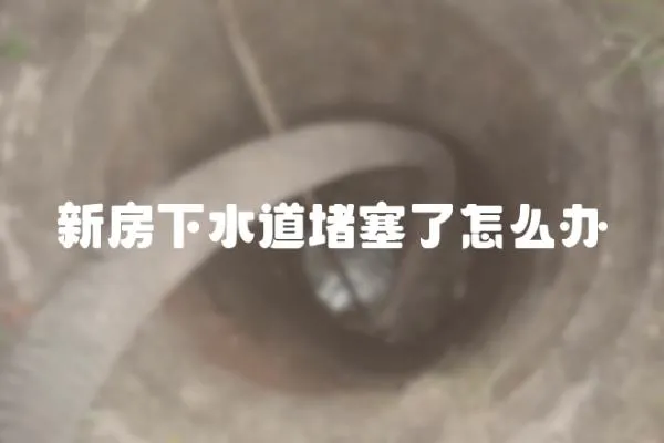新房下水道堵塞了怎么辦