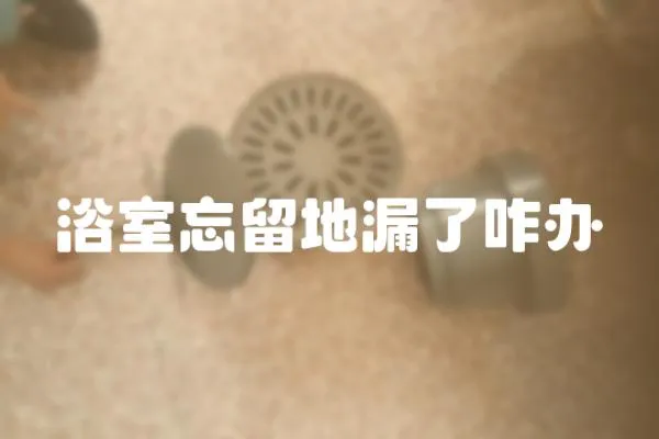 浴室忘留地漏了咋辦