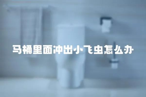 馬桶里面沖出小飛蟲怎么辦