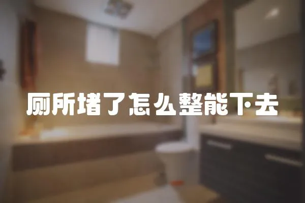 廁所堵了怎么整能下去