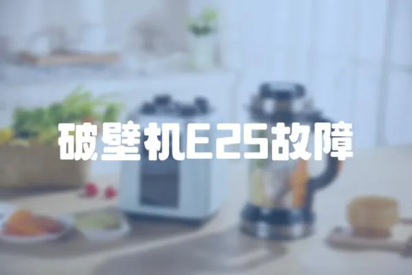 破壁機(jī)E25故障