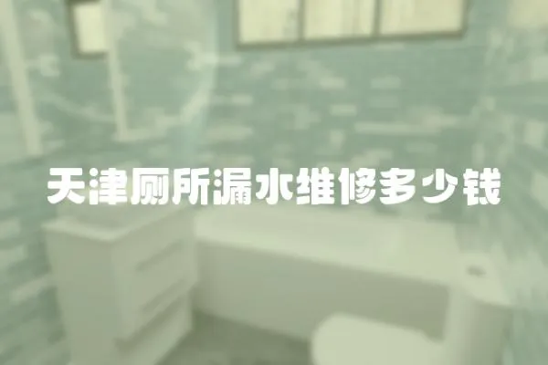 天津廁所漏水維修多少錢