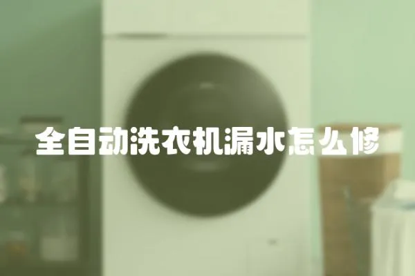 全自動洗衣機漏水怎么修
