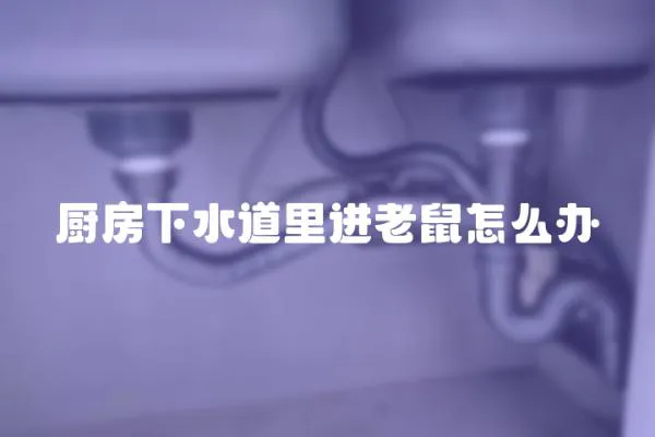 廚房下水道里進老鼠怎么辦