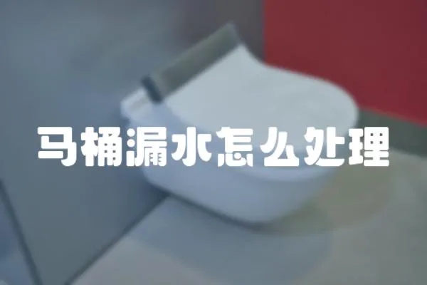馬桶漏水怎么處理