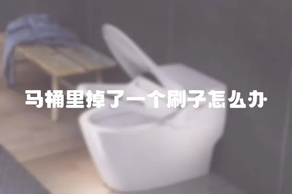 馬桶里掉了一個刷子怎么辦