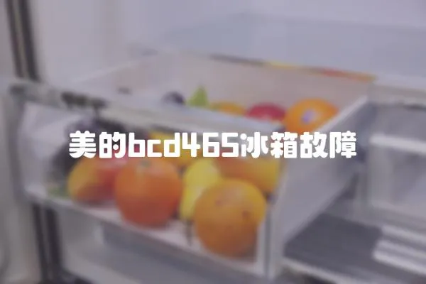 美的bcd465冰箱故障
