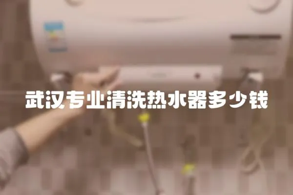 武漢專業清洗熱水器多少錢