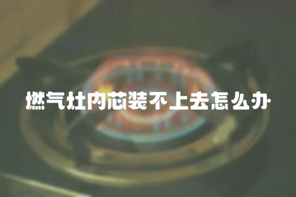 燃氣灶內芯裝不上去怎么辦