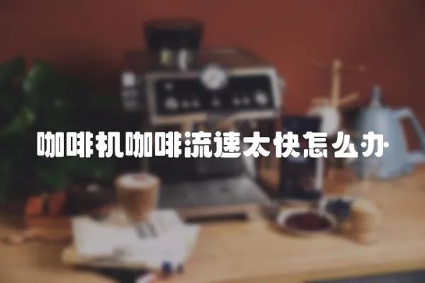 咖啡機咖啡流速太快怎么辦