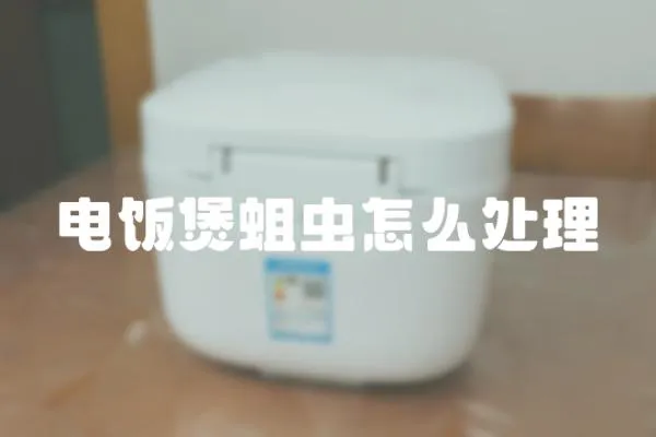 電飯煲蛆蟲怎么處理