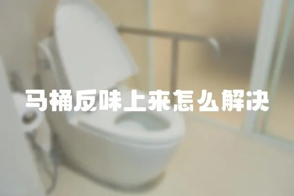 馬桶反味上來怎么解決