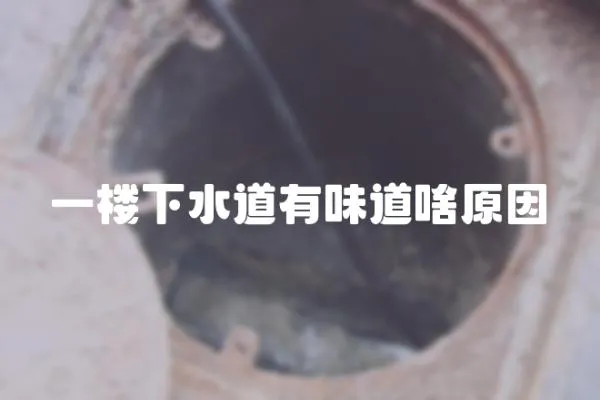 一樓下水道有味道啥原因