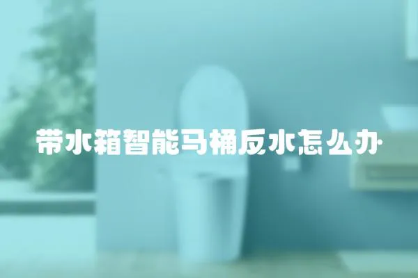 帶水箱智能馬桶反水怎么辦