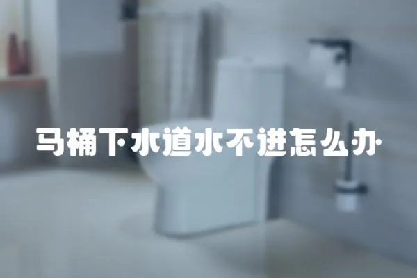 馬桶下水道水不進怎么辦