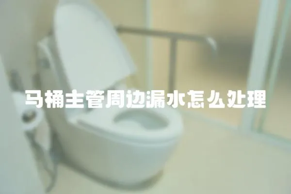 馬桶主管周邊漏水怎么處理
