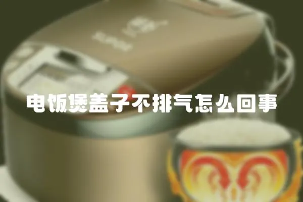 電飯煲蓋子不排氣怎么回事
