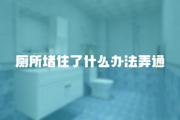 廁所堵住了什么辦法弄通