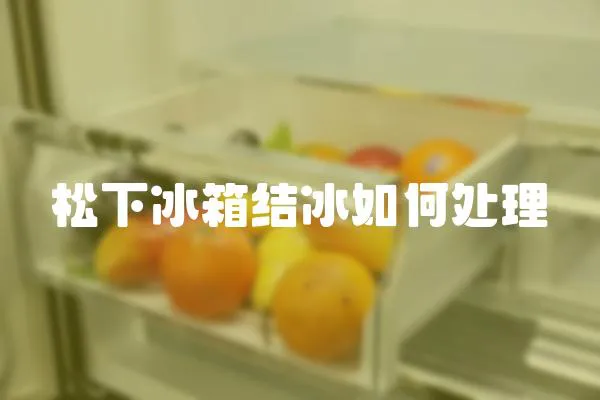 松下冰箱結(jié)冰如何處理