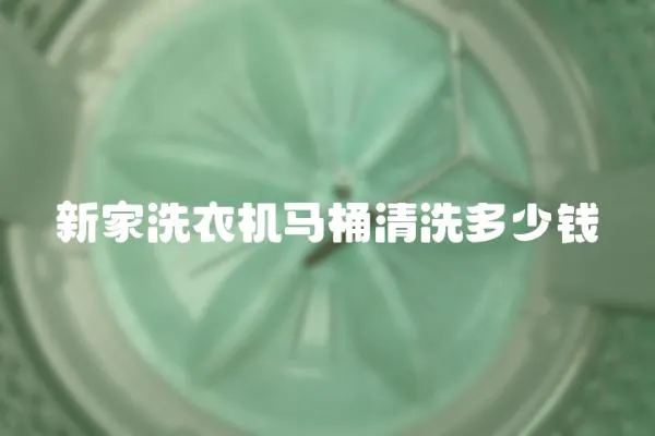 新家洗衣機馬桶清洗多少錢