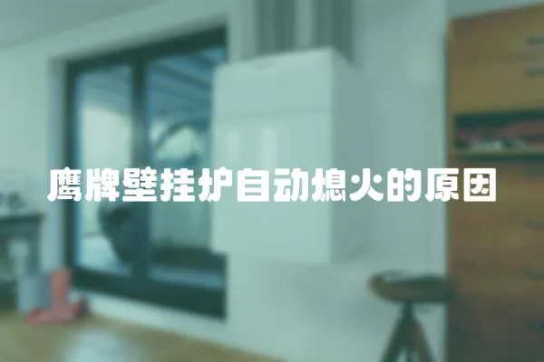 鷹牌壁掛爐自動熄火的原因