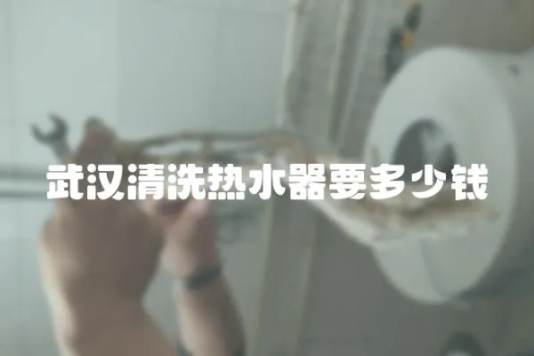武漢清洗熱水器要多少錢