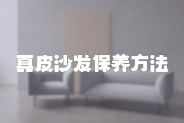 真皮沙發(fā)保養(yǎng)方法