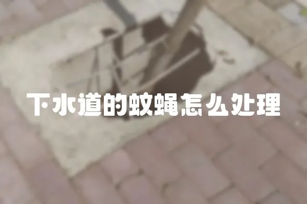 下水道的蚊蠅怎么處理